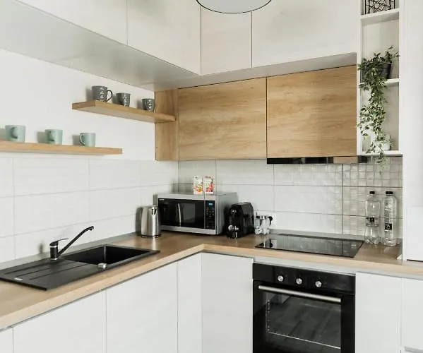 Skylark - Singapore Penthouse With Jacuzzi & Panoramic View Brasov